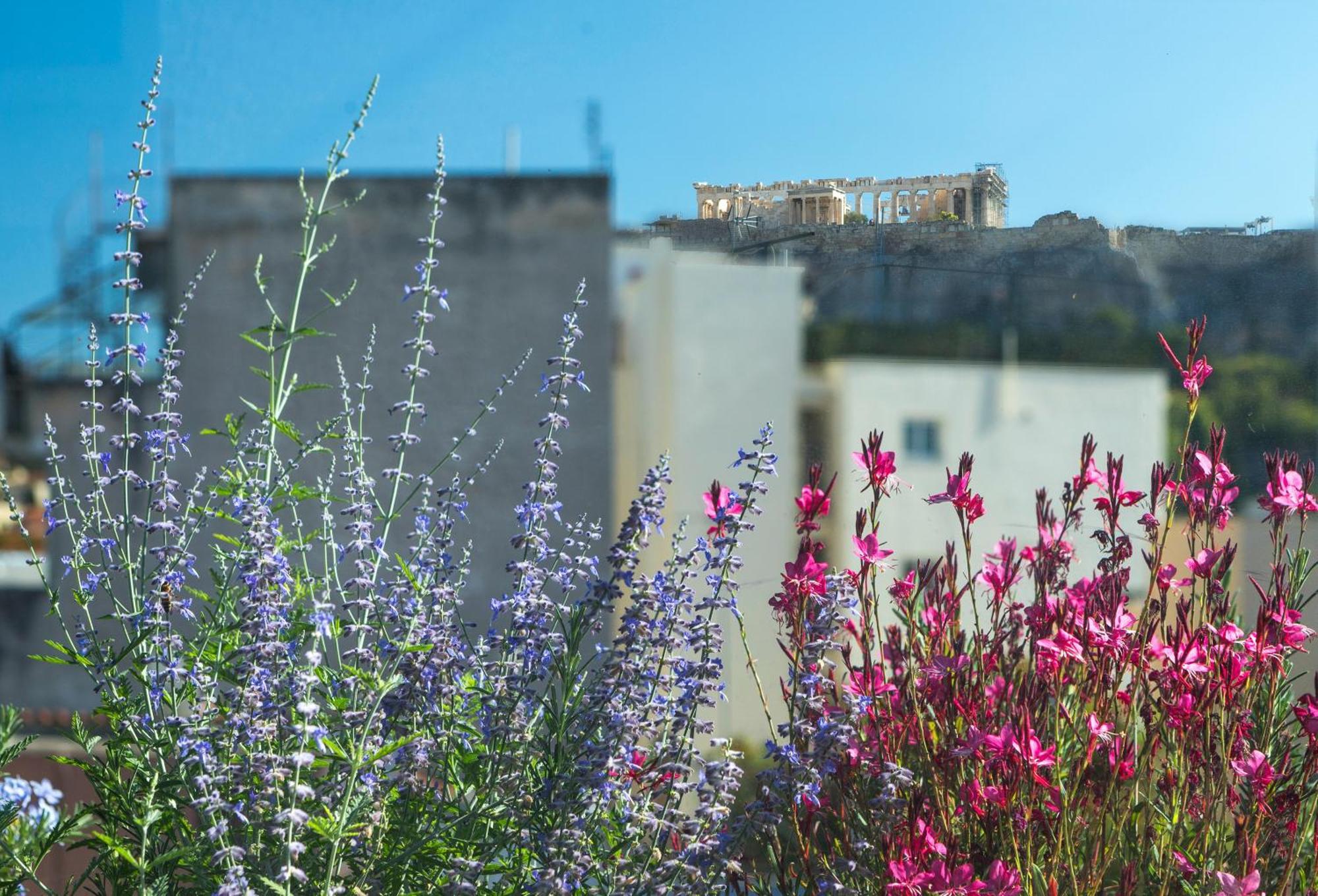 The Residence Christokopidou Hotel & Spa Athens Luaran gambar
